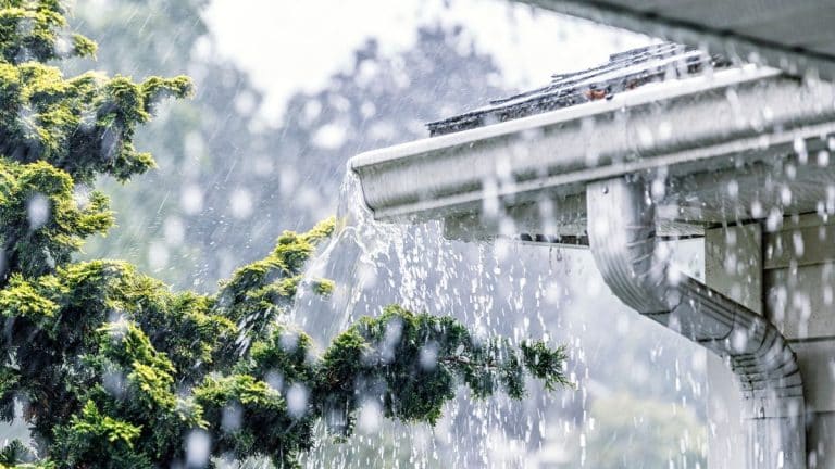 Les pluies arrivent : voici comment préparer votre récupérateur d’eau pour éviter tout désastre