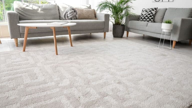 Comment préserver l’esthétique et la propreté de vos tapis pendant l’hiver ? Techniques et astuces faciles pour un intérieur impeccable